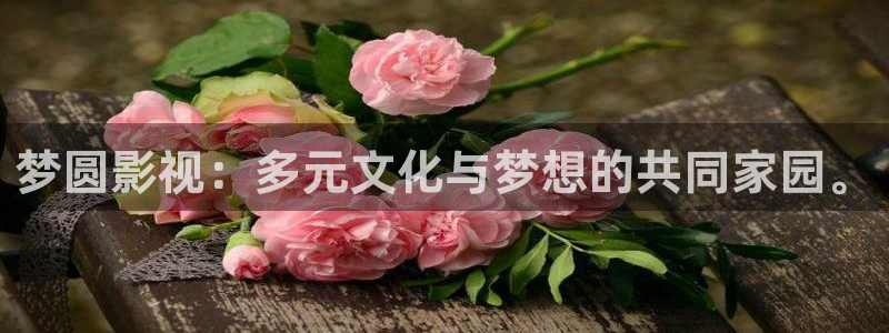 2025酷客免费影院：梦圆影视：多元文化与梦想的共同家园。