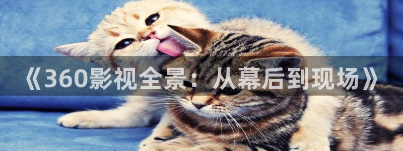 酷客影院嫂子的职业：《360影视全景：从幕后到现场》