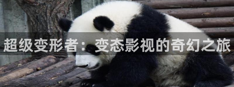 酷客影视院：超级变形者：变态影视的奇幻之旅