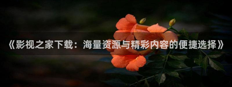 酷客影院在线手机：《影视之家下载：海量资源与精彩内容的便捷选择》